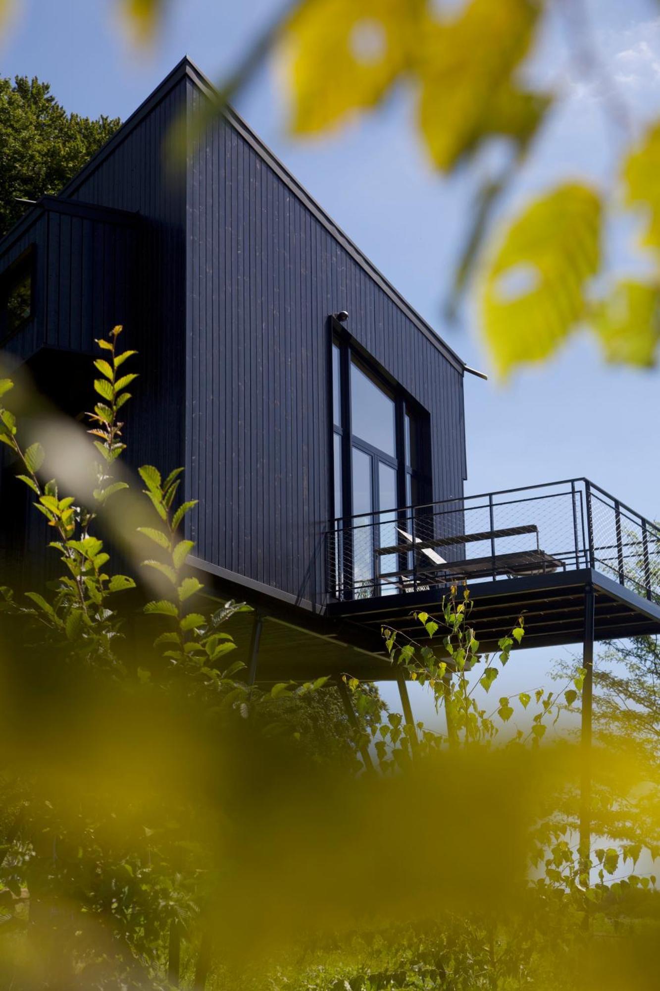 Treeangle - K1 Baumhaus Villa Odenthal Luaran gambar